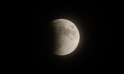 2026年3月3日 19:23 部分食中