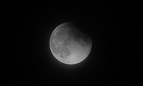2026年3月3日 22:29 部分食中