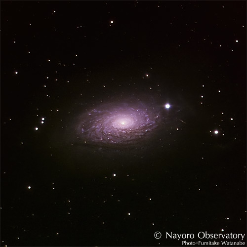 2017年3月25日撮影されたM63 ひまわり銀河