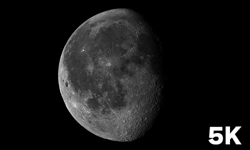 月齢19.6