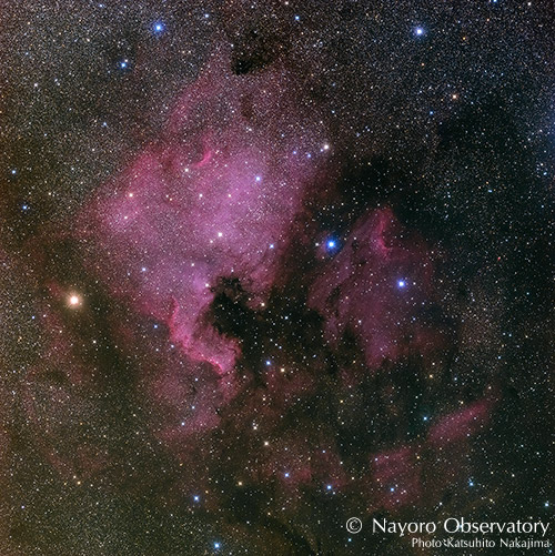 2014年6月3日撮影されたNGC 7000（北アメリカ星雲）