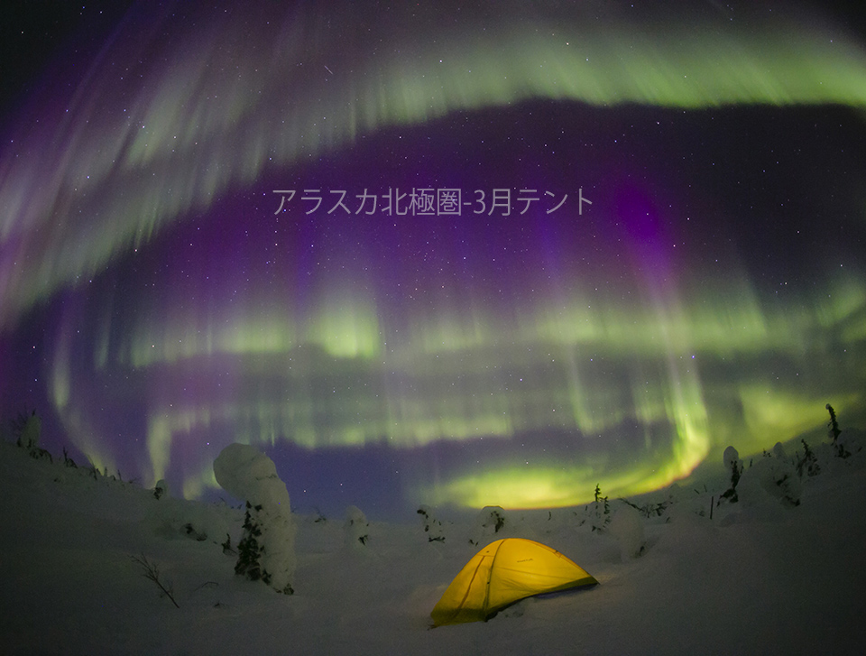 アラスカ北極圏3月テントとオーロラ