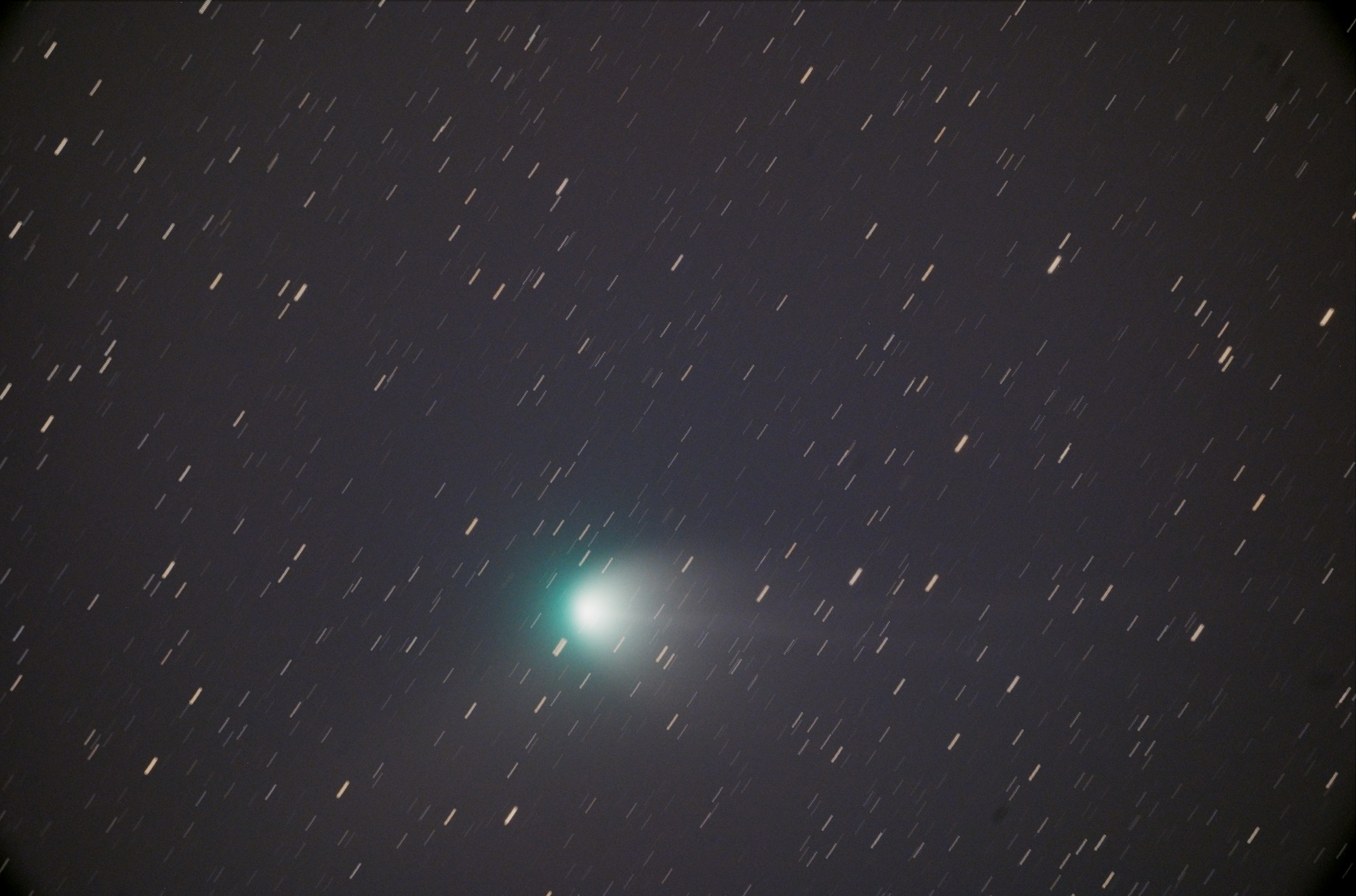 1月28日のZTF彗星