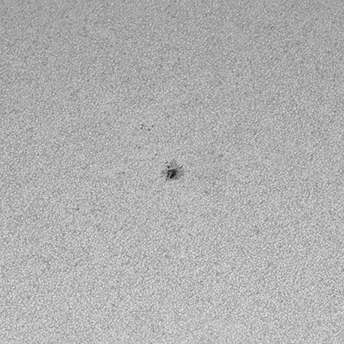 2021年3月27日に撮影された太陽黒点