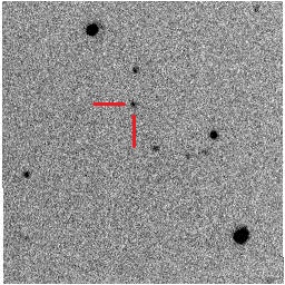 なよろ市立天文台の50cm・40cm望遠鏡での観測の様子