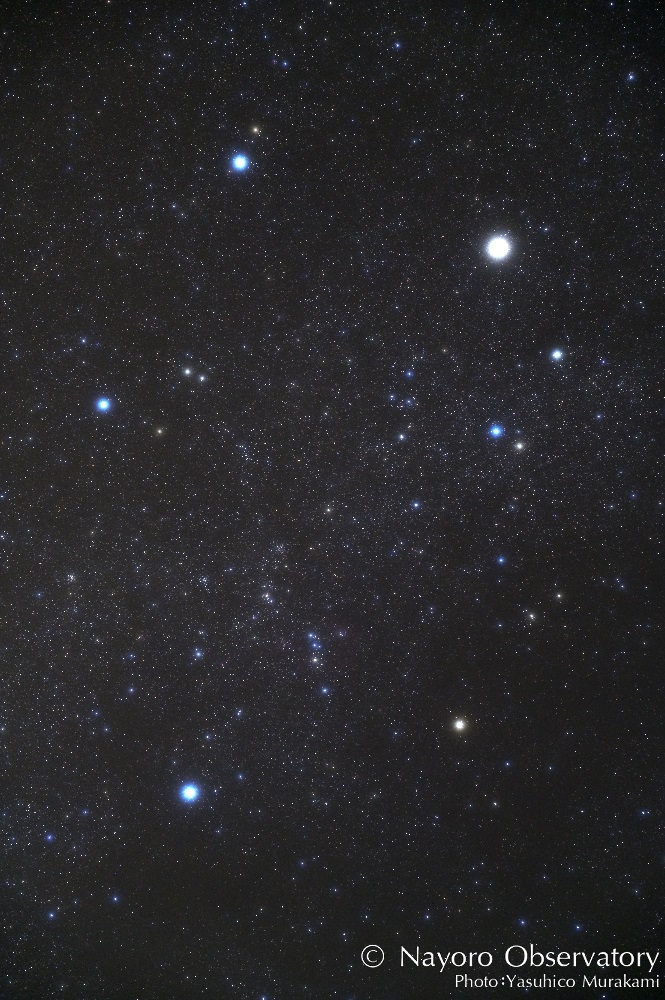 冬の星座 ぎょしゃ座：なよろ市立天文台 きたすばる