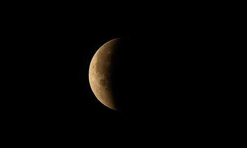 2025年9月8日 部分食中