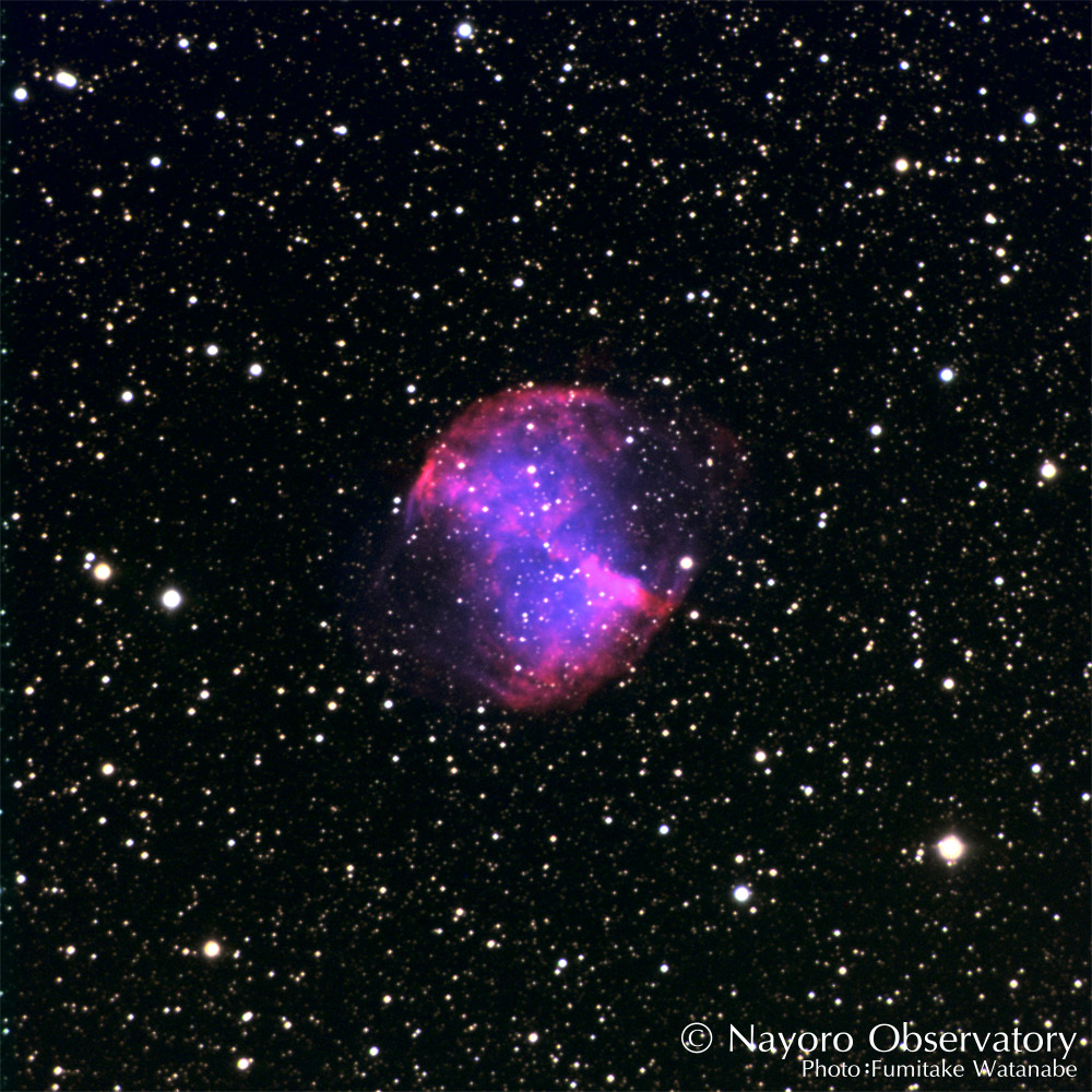 こりん星 M27 あれい星雲：なよろ市立天文台 きたすばる