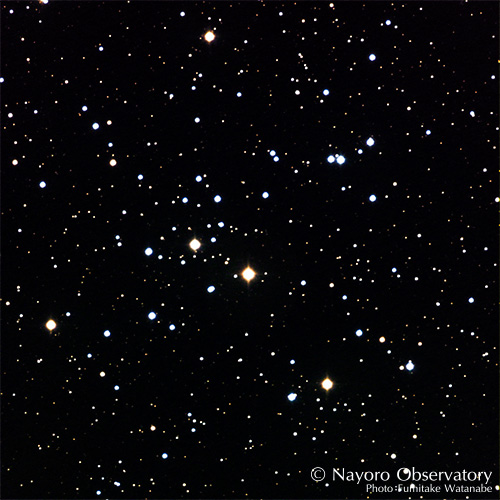 2019年3月10日に撮影されたM41