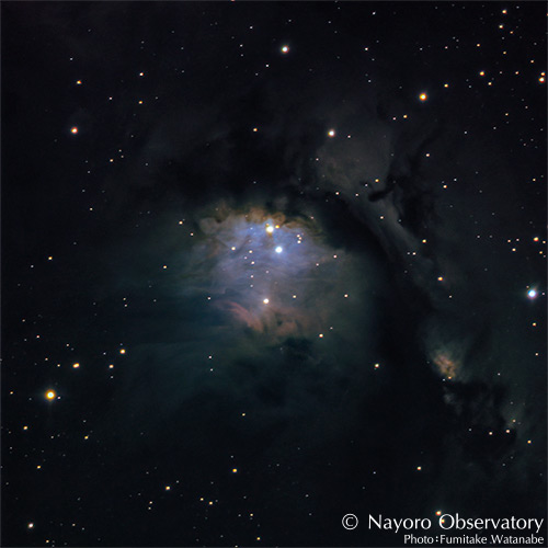 2022年1月22日に撮影されたM78散光星雲