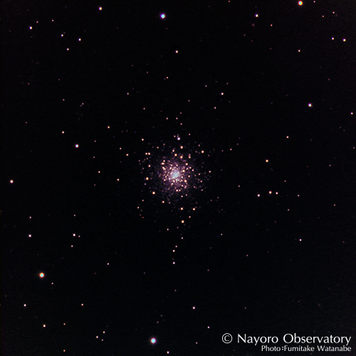 2019年2月23日に撮影されたM79