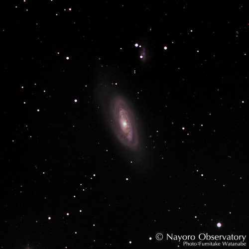 2019年5月4日撮影されたM90