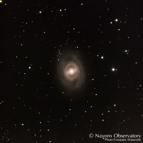 2019年5月5日撮影されたM95