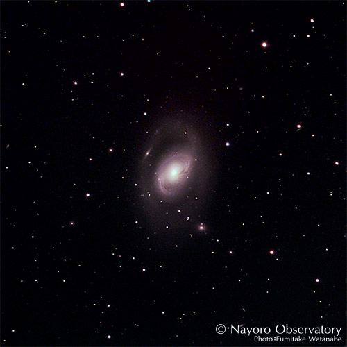 2019年5月5日撮影されたM96