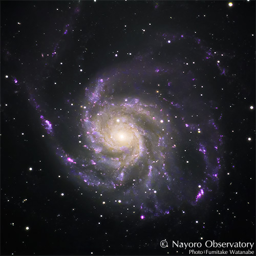 2021年4月5日撮影されたM101 回転花火銀河