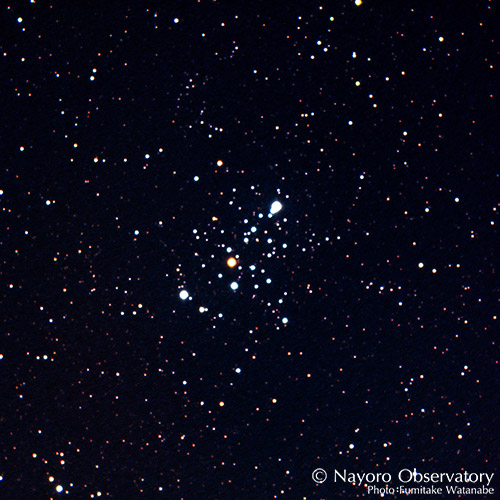 2019年4月17日撮影されたM103