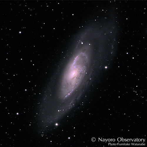 2020年4月18日に撮影されたM106