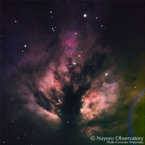 2019年3月7日撮影されたNGC 2024　火炎星雲