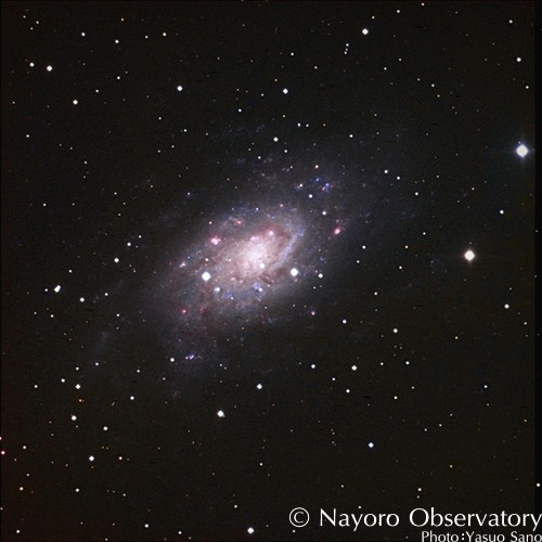2011年3月7日に撮影された NGC 2403 渦巻き銀河