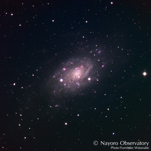 2013年1月22日に撮影された NGC 2403 渦巻き銀河