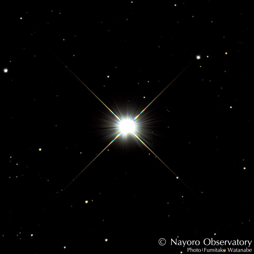 2021年12月9日撮影されたこいぬ座のプロキオン