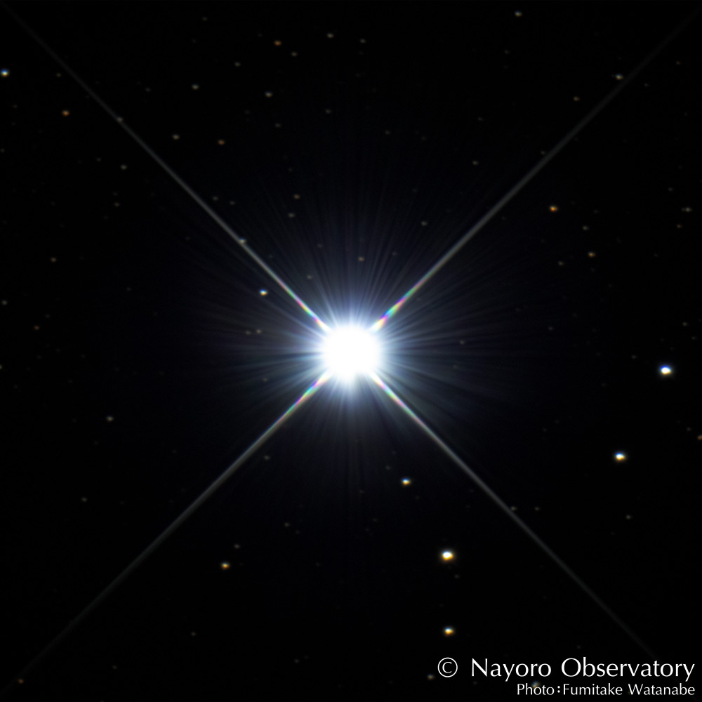 冬の一等星 シリウス：なよろ市立天文台 きたすばる
