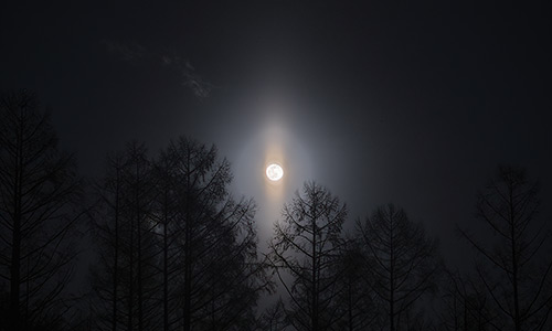 2022年2月18日