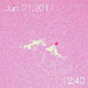 2011年6月21日の太陽フレア