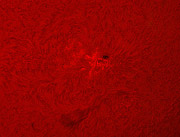 2011年9月8日のHα画像