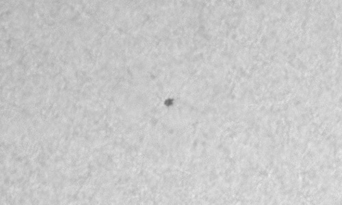 2025年4月10日（活動領域14057）