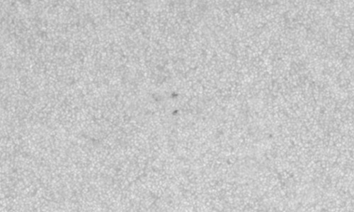 2025年4月11日（活動領域14057）