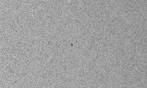 2025年6月8日（活動領域14106）