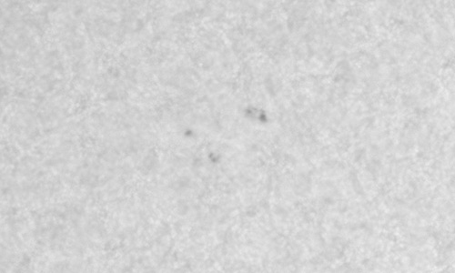 2025年9月14日（活動領域14219）