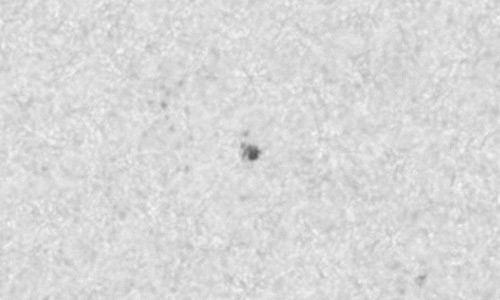 2025年9月27日（活動領域14228）