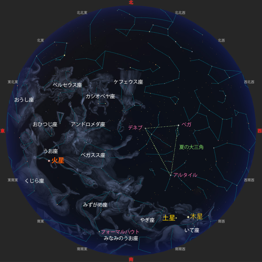 観望会期間 20時ごろの星空の様子