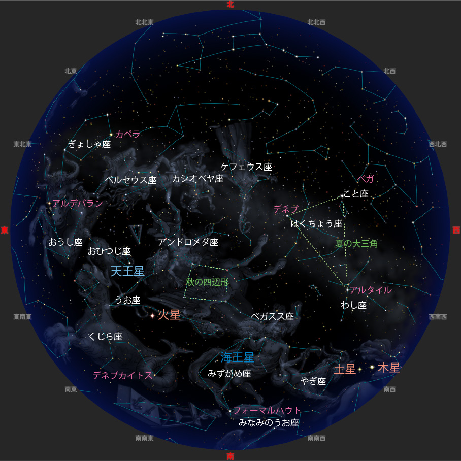 観望会期間 19時ごろの星空の様子