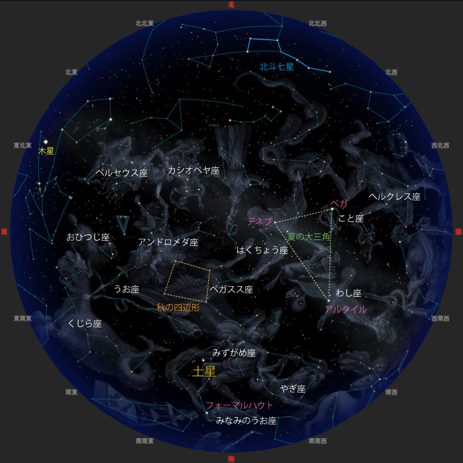 観望会期間中21時ごろの夜空