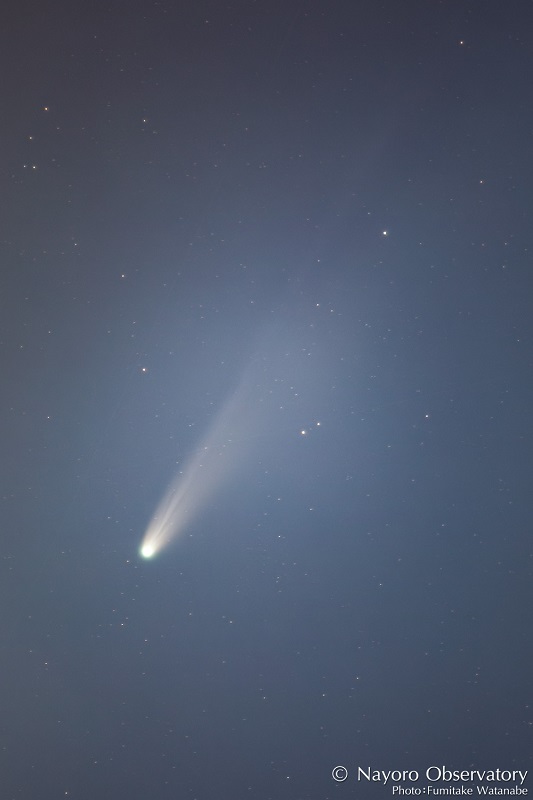 11月3日のレモン彗星