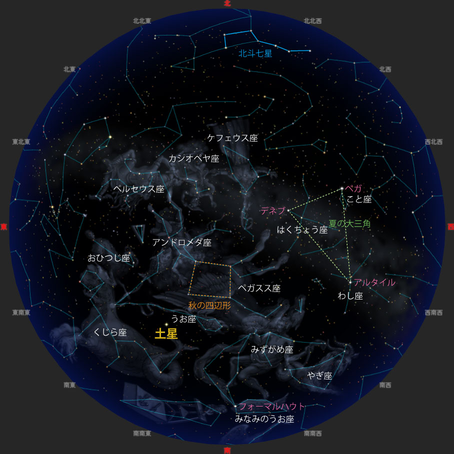 観望会期間中21時ごろの夜空
