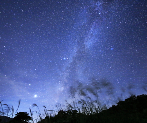 Dr. Kouji Ohnishi's photo03