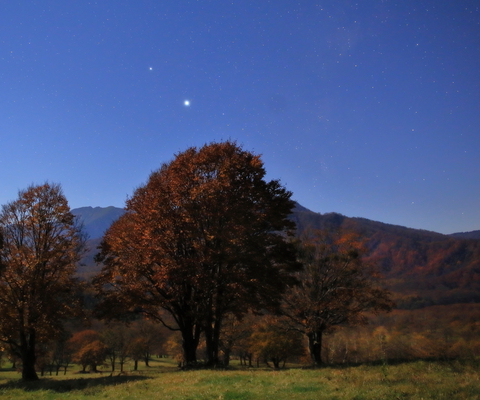 Dr. Kouji Ohnishi's photo06